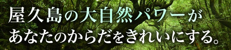 ���炾���ꂢ���T�C�g